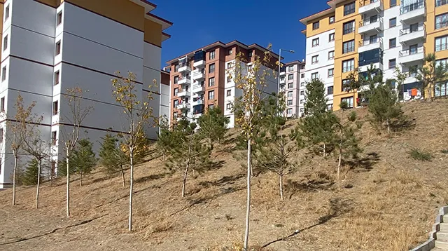 YOZGAT İLİ MERKEZ İLÇESİ MUTAFOĞLU 2 MINTIKA MAHALLESİ 643 ADET KONUT, 1 ADET TİCARET MERKEZİ VE 1 ADET CAMİ İNŞAATLARI İLE ALTYAPI VE ÇEVRE DÜZENLEMESİ İŞİ