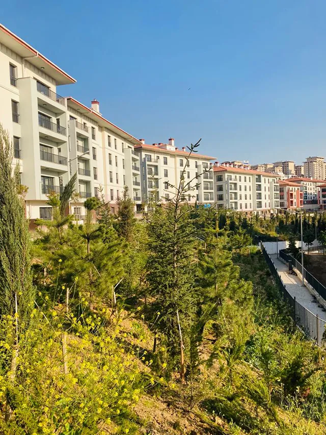 İSTANBUL İLİ ESENLER İLÇESİ GÜNEY PROJE ALANI KENTSEL DÖNÜŞÜM VE GELİŞİM PROJESİ 1.ETAP 1.BÖLGE 531 ADET KONUT VE 1 ADET MESCİT İNŞAATLARI İLE ALTYAPI VE ÇEVRE DÜZENLEMESİ İŞİ